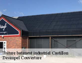 Toiture batiment industriel  castillon-14490 Desimpel Couverture