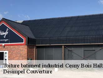 Toiture batiment industriel  cesny-bois-halbout-14220 Desimpel Couverture