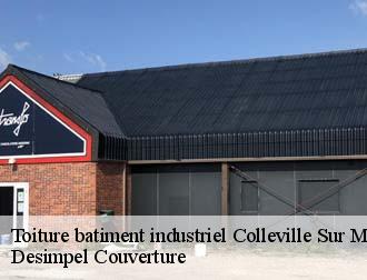 Toiture batiment industriel  colleville-sur-mer-14710 Desimpel Couverture