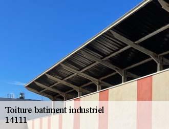 Toiture batiment industriel  14111