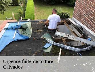 Urgence fuite de toiture