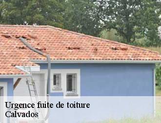 Urgence fuite de toiture Calvados 