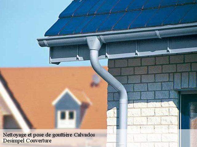 Nettoyage et pose de gouttière Calvados 