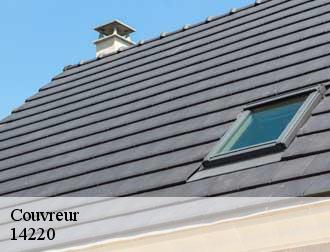 Couvreur 14220