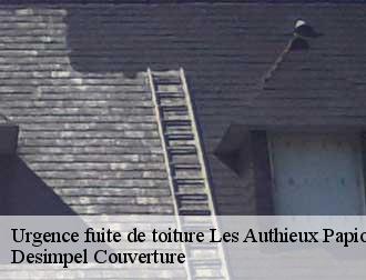 Urgence fuite de toiture  les-authieux-papion-14140 Desimpel Couverture