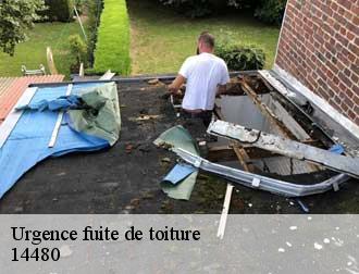 Urgence fuite de toiture