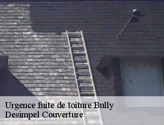 Urgence fuite de toiture  bully-14320 Desimpel Couverture