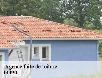 Urgence fuite de toiture 14490
