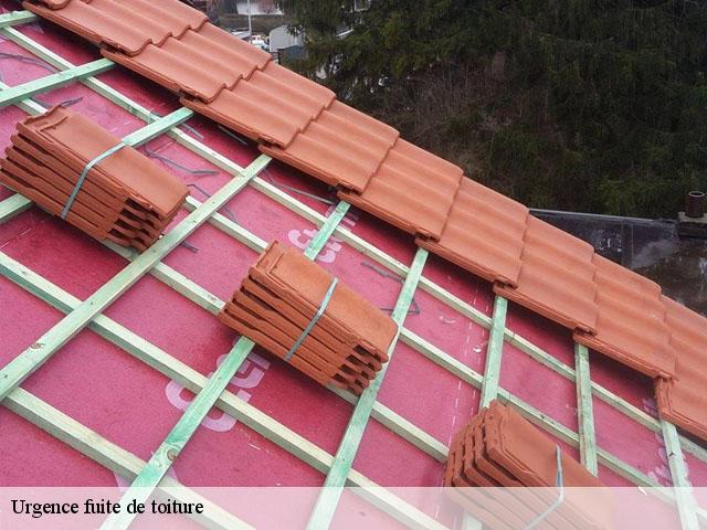 Urgence fuite de toiture 14490