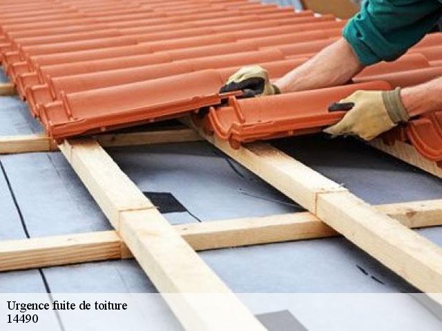 Urgence fuite de toiture 14490