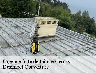 Urgence fuite de toiture 14290