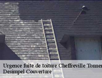Urgence fuite de toiture  cheffreville-tonnencourt-14140 Desimpel Couverture