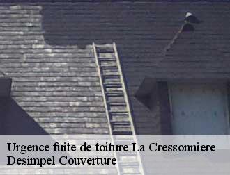 Urgence fuite de toiture  la-cressonniere-14290 Desimpel Couverture