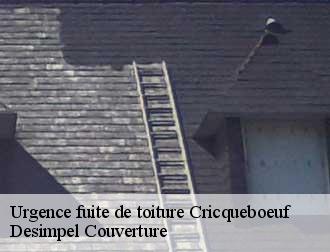 Urgence fuite de toiture  cricqueboeuf-14113 Desimpel Couverture