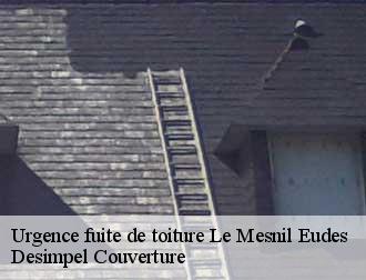 Urgence fuite de toiture  le-mesnil-eudes-14100 Desimpel Couverture