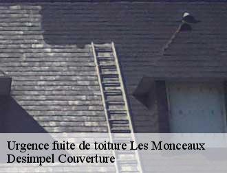 Urgence fuite de toiture les-monceaux-14100 Desimpel Couverture
