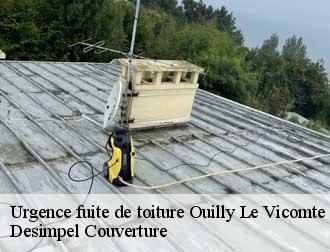 Urgence fuite de toiture  14100