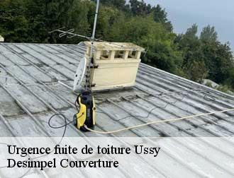 Urgence fuite de toiture 14420