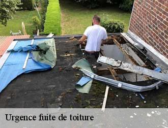 Urgence fuite de toiture