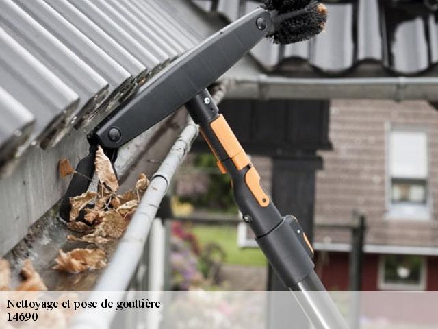 Nettoyage et pose de gouttière 14690