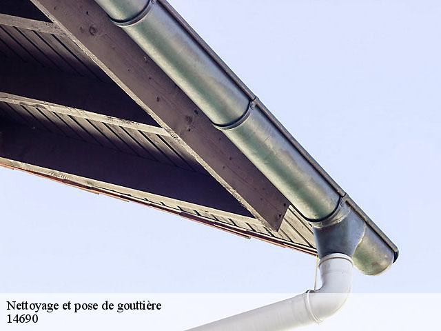Nettoyage et pose de gouttière 14690