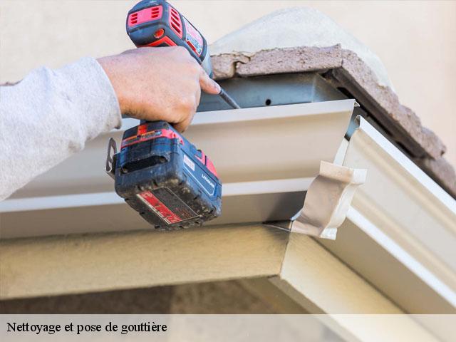 Nettoyage et pose de gouttière 14370