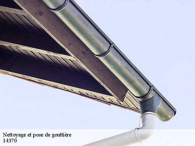 Nettoyage et pose de gouttière 14370