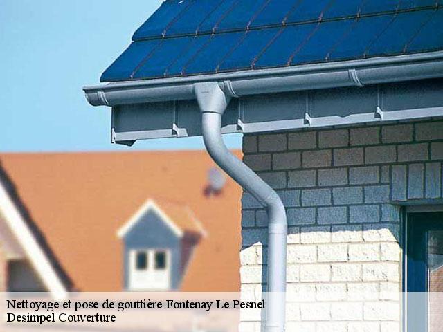 Nettoyage et pose de gouttière  14250