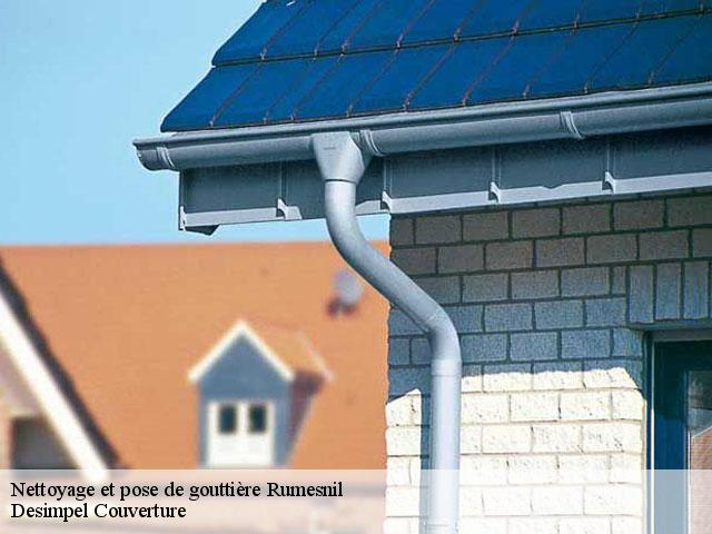 Nettoyage et pose de gouttière 14340