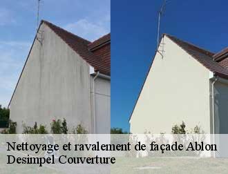 Nettoyage et ravalement de façade  14600