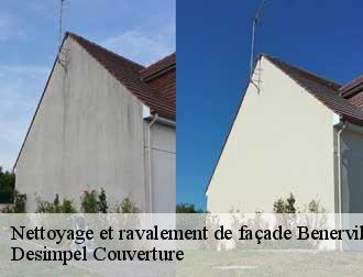 Nettoyage et ravalement de façade  14910