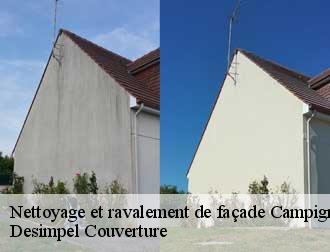 Nettoyage et ravalement de façade  14490