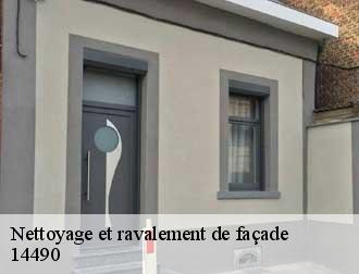 Nettoyage et ravalement de façade 14490