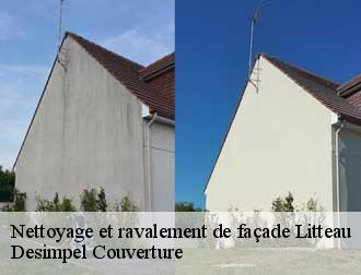 Nettoyage et ravalement de façade 14490